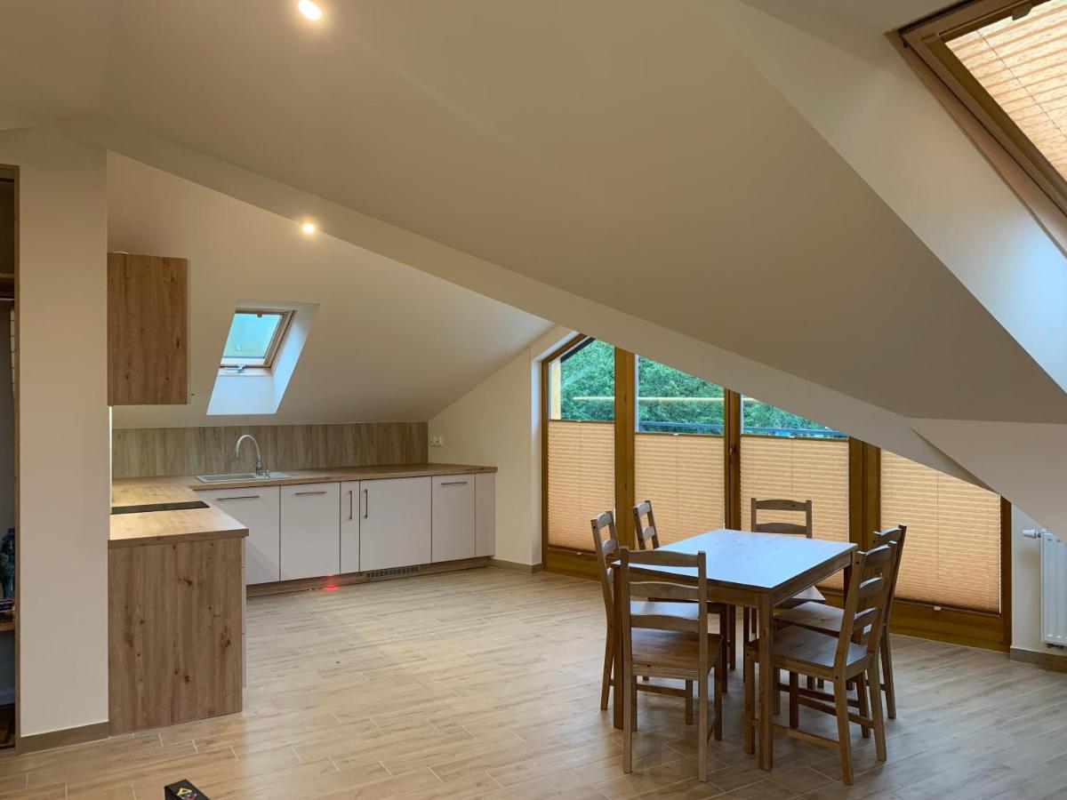 Mlynek Parkowa Apartment Zakopane Bagian luar foto