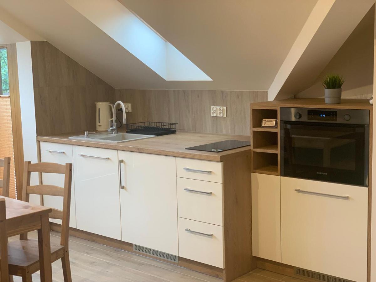 Mlynek Parkowa Apartment Zakopane Bagian luar foto
