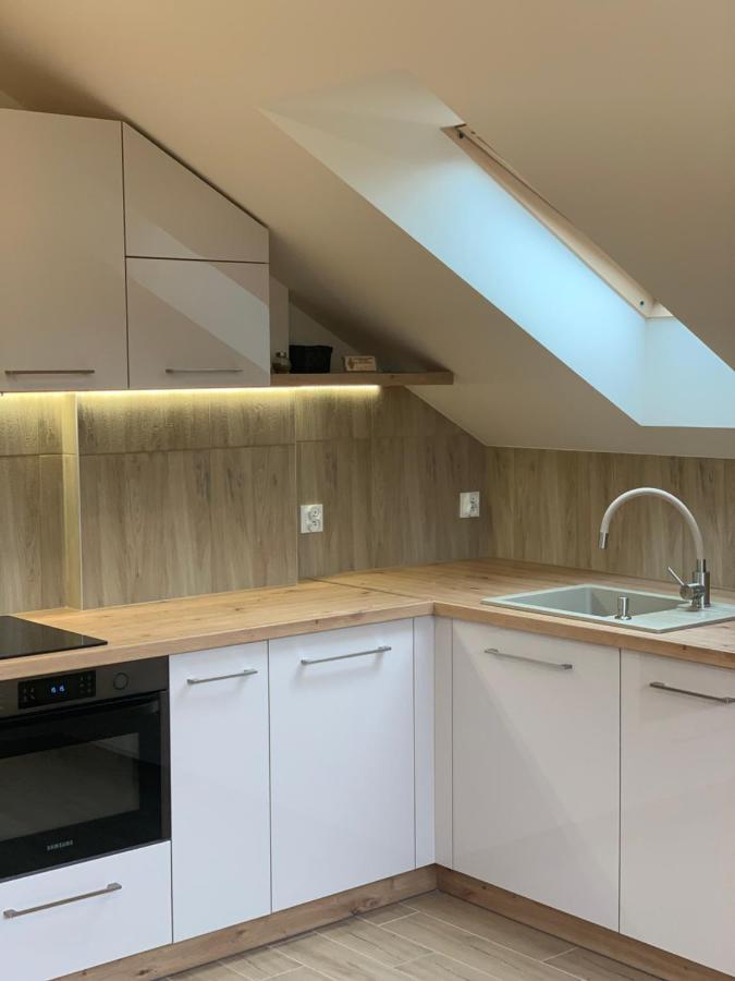 Mlynek Parkowa Apartment Zakopane Bagian luar foto