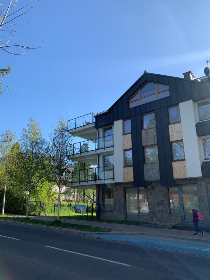 Mlynek Parkowa Apartment Zakopane Bagian luar foto